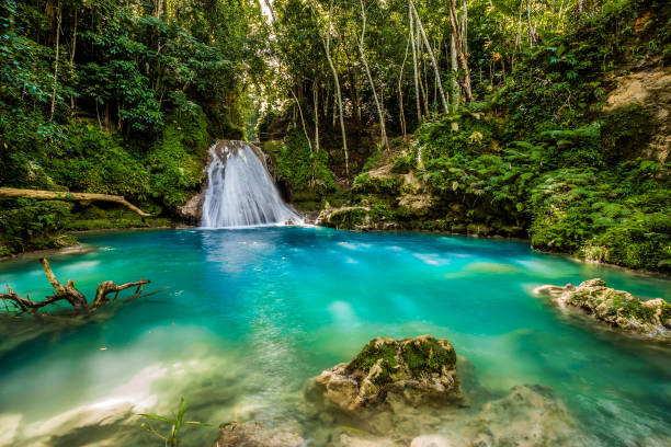 Picture in Jamaica – Adding Style to Hotels, Restaurants, and Homes
