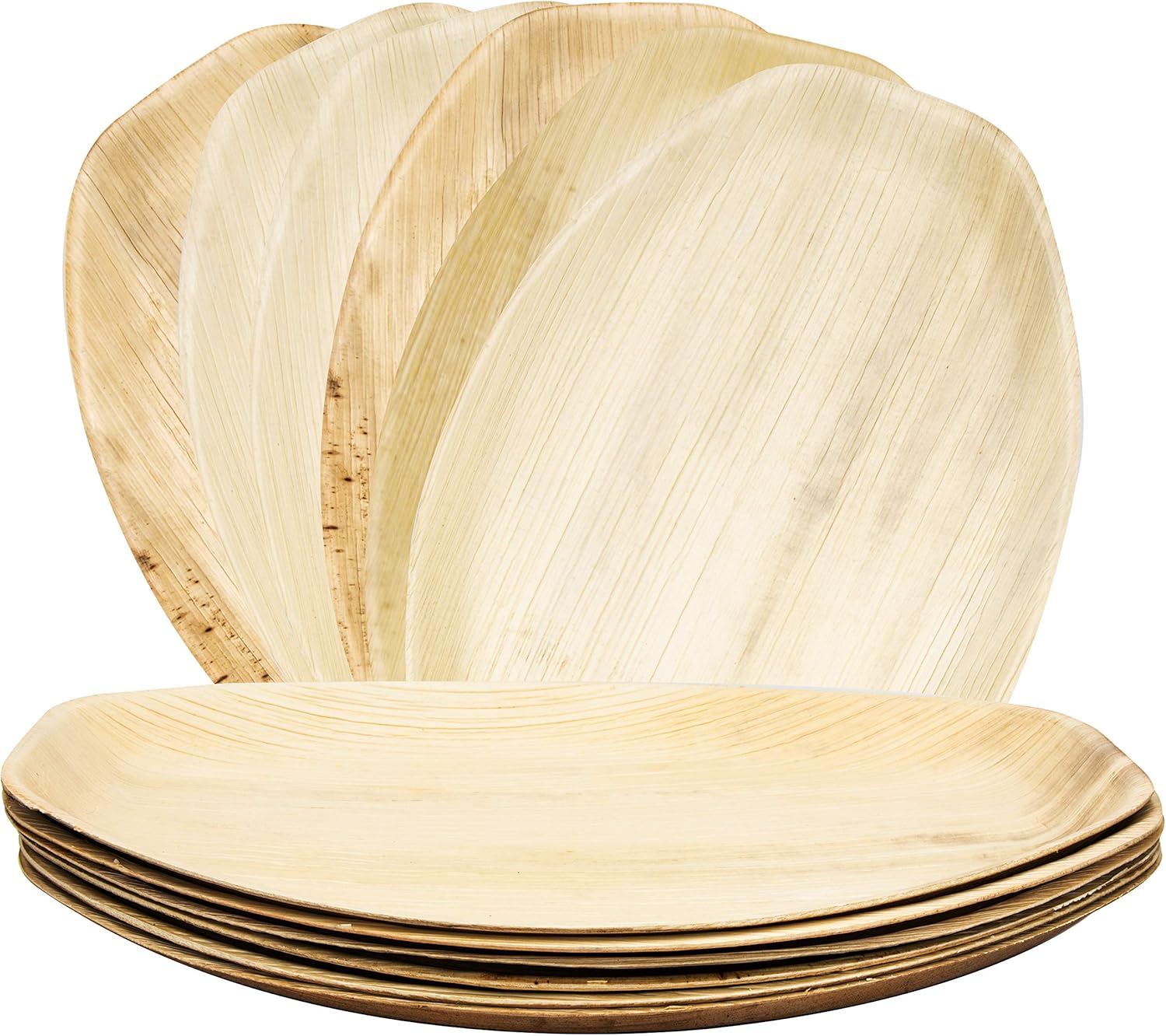 Eco-Friendly Disposable Products Jamaica: Sustainable Solutions for Modern Businesses