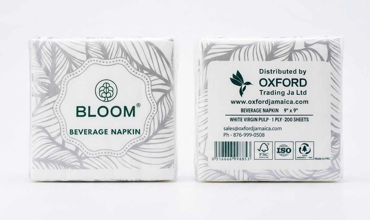 Napkin-4